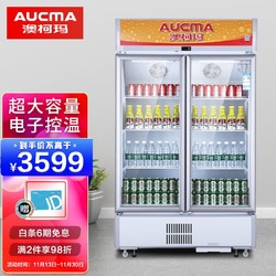 AUCMA 澳柯玛 SC-597NE 597升 风直冷商用立式双门冰柜