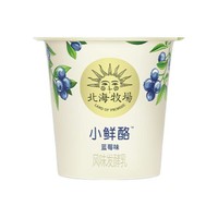HOKKAI PASTURES 北海牧场 小鲜酪 风味发酵乳 蓝莓味 100g*12杯