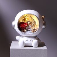 “唯忆”圣诞限量款太空奥秘宇航员永生花艺