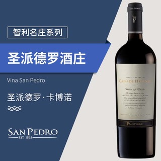 智利十八罗汉 原瓶原装进口干红葡萄酒750ml单瓶装 圣佩特罗酒庄卡博纳2011