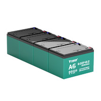 TIANNENG BATTERY 天能电池 A6 电动车铅酸电池