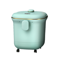 SKYWORTH 创维 E602-1 足浴盆 绿色