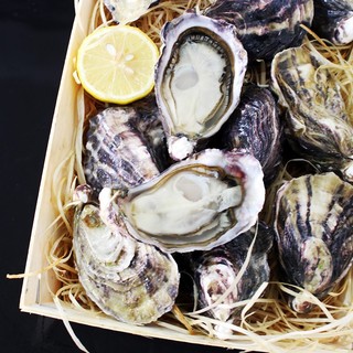 蠔门 新西兰进口生蚝鲜活 新鲜生鲜贝类 海鲜水产 刺身牡蛎 L（12只装）
