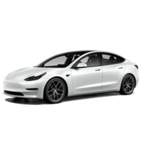 TESLA 特斯拉 Model 3 21款 Performance高性能全轮驱动版 3D3/3D6