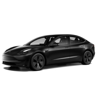 TESLA 特斯拉 Model 3 22款 后轮驱动版