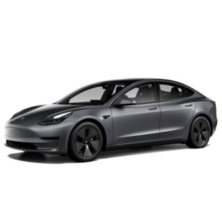 TESLA 特斯拉 Model 3 22款 后轮驱动版