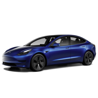 TESLA 特斯拉 Model 3 22款 后轮驱动版