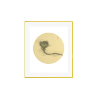 买买艺术 林枫《荷韵系列之七》30x40cm 2017 美术纸 金色铝合金框
