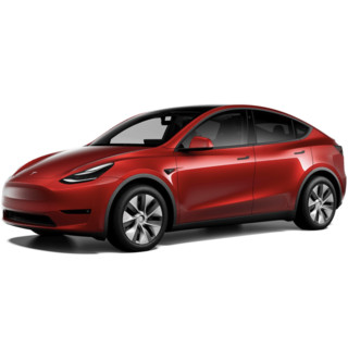 TESLA 特斯拉 Model Y 21款 改款 长续航全轮驱动版