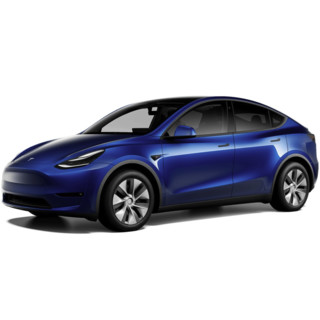 TESLA 特斯拉 Model Y 21款 改款 长续航全轮驱动版