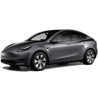 TESLA 特斯拉 Model Y 22款 后轮驱动版