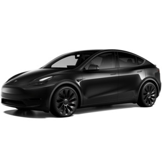 TESLA 特斯拉 Model Y 21款 Performance高性能全轮驱动版