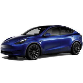 TESLA 特斯拉 Model Y 21款 Performance高性能全轮驱动版