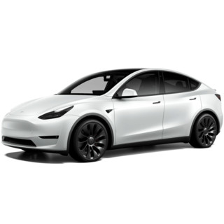 TESLA 特斯拉 Model Y 21款 Performance高性能全轮驱动版