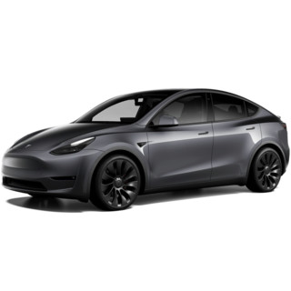 TESLA 特斯拉 Model Y 21款 Performance高性能全轮驱动版