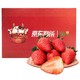yuguo 愉果 红颜奶油草莓2盒精装 整箱1.9斤