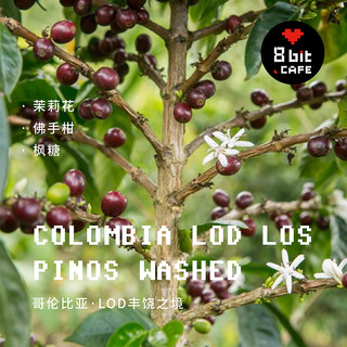 捌比特哥伦比亚LOD丰饶之境松木庄园水洗轻度烘焙精品咖啡豆100g 咖啡豆