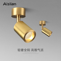 爱斯兰LED明装射灯全铜北欧简约筒灯金色吧台照画客厅天花背景墙免开孔灯具MSD71 7W暖光(美国科锐芯片)