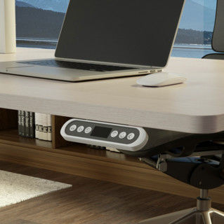ELYDO 蓝立哆 H3 Ultra 电动升降桌 白色+橡木色 1.2m