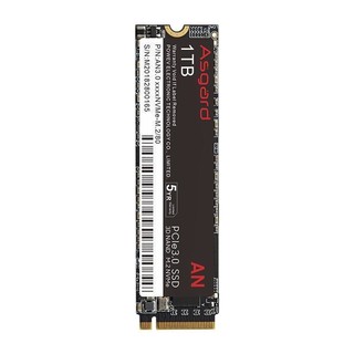 Asgard 阿斯加特 AN系列 NVMe M.2 固态硬盘 1TB（PCI-E3.0）AN3.0 1TNVMe-M.2/80