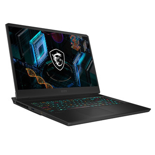 MSI 微星 冲锋坦克 Pro GP66 十一代酷睿版 15.6英寸 游戏本 黑色 (酷睿i7-11800H、RTX 3070 8G、16GB、1TB SSD、2K、IPS、165Hz)