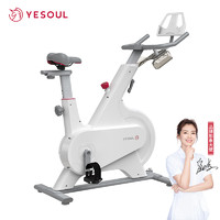 YESOUL 野小兽 动感单车磁控家用超静音健身车室内健身器M1