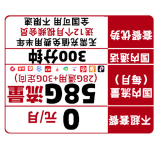 CHINA TELECOM 中国电信 新半年免充卡 0元/月