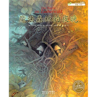 《魔法森林的夜晚》