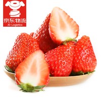 野森达 空运发货 丹东99红颜草莓中大果 共发4盒 约2.8斤