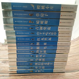 《曹文轩纯美小说系列》（套装共14册）