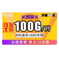CHINA TELECOM 中国电信 长期嗨卡 19元月租 （40G通用+60G定向）