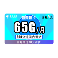 中国电信 电信新翼辰卡 每月65G全国+300分钟不限速