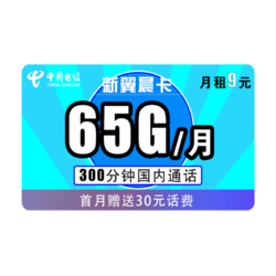 CHINA TELECOM 中国电信 电信新翼辰卡 每月65G全国+300分钟不限速