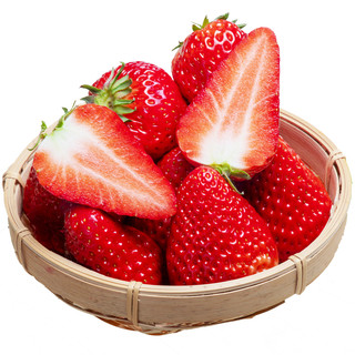 BERRY BRIGADE 莓旅 九九草莓 单果20-25g 500g