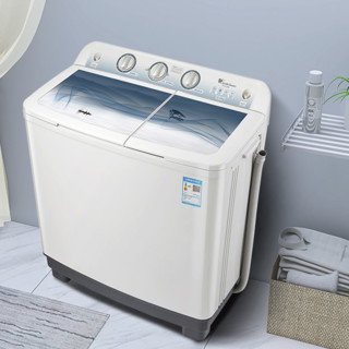 LittleSwan 小天鹅 S99系列 双缸洗衣机