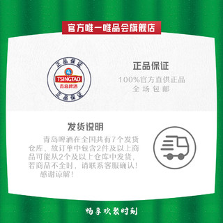 TSINGTAO 青岛啤酒 福罐系列 经典10度  500ml*12听*2箱