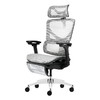 DBL 达宝利 Ergosmart优享版 人体工学椅 铝合金五星脚架+灰框银白色网布