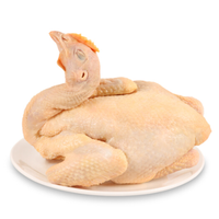 天农 清远鸡 900g