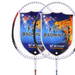 witess威特斯羽毛球拍2支装羽毛球3个1包