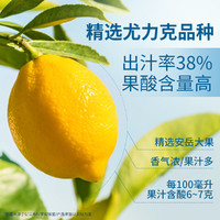 忆江南 冻干柠檬片120g蜂蜜冻干柠檬片泡茶水果茶冷泡茶
