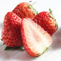 丹东红颜奶油草莓 450g 单果18-30g  礼盒装