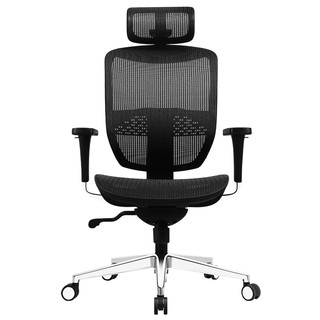 Want Home 享耀家 SL-T5 人体工学椅电脑椅 网布坐垫