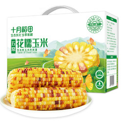SHI YUE DAO TIAN 十月稻田 花糯鲜食玉米 2.2kg（220g*10）