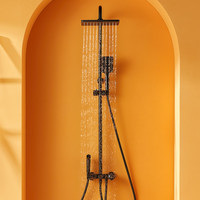 SSWW 浪鲸 EFT13012 恒温花洒套装