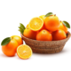 崀山红 脐橙甜橙 礼盒装 毛重5斤 单果60-65mm