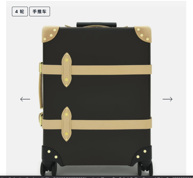 Safari  随身携带行李箱