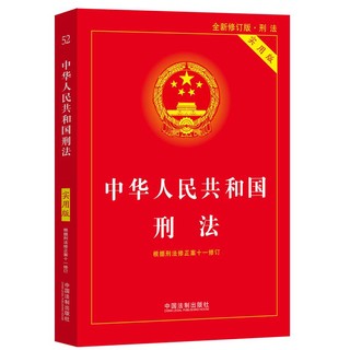 《中华人民共和国刑法》（实用版）