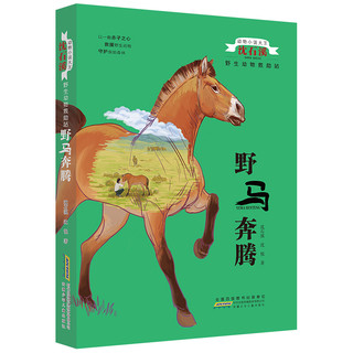 《动物小说大王沈石溪·野生动物救助站：野马奔腾》