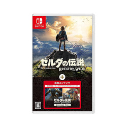 Nintendo 任天堂 Switch游戏卡带《塞尔达传说 旷野之息》 扩充票 DLC 中文