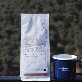 TERRAFORM COFFEE ROASTERS 啟程拓殖 白朗姆葡萄 哥伦比亚厌氧果干 手冲咖啡豆 200g
